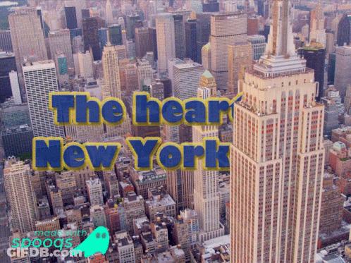 Aerial View New York The Hear New York GIF