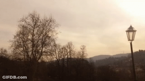 Aerial View Of City And Bridge GIF