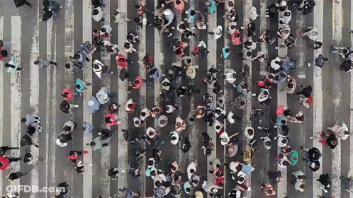 Aerial View Of Crowd Crossing Street GIF