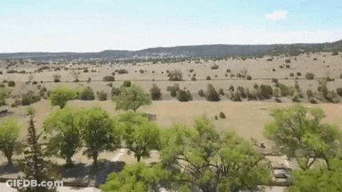 Aerial View Of Desert Landscape With Trees GIF