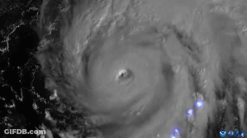 Aerial View Of Hurricane Over Ocean GIF