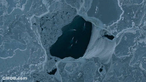 Aerial View Of Large Body Of Water GIF