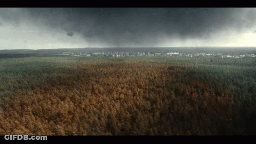 Aerial View Of Lush Green Forest With City In Distance GIF