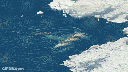Aerial View Of Snowy Water And Clouds GIF