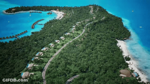 Aerial View Of Tropical Island With Trees GIF