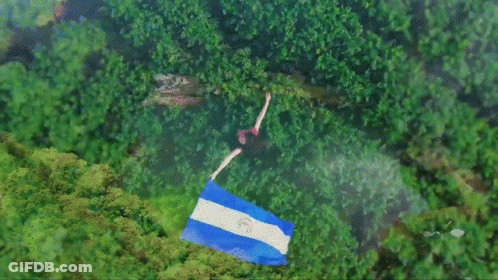 Aerial View Person Holding Flag In Field GIF