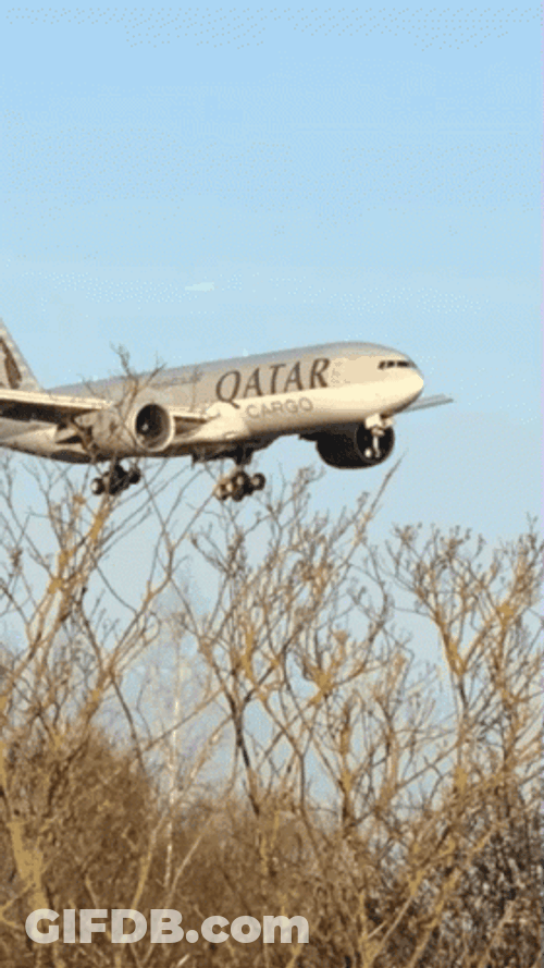 Aerospace Qatar Airways Cargo GIF