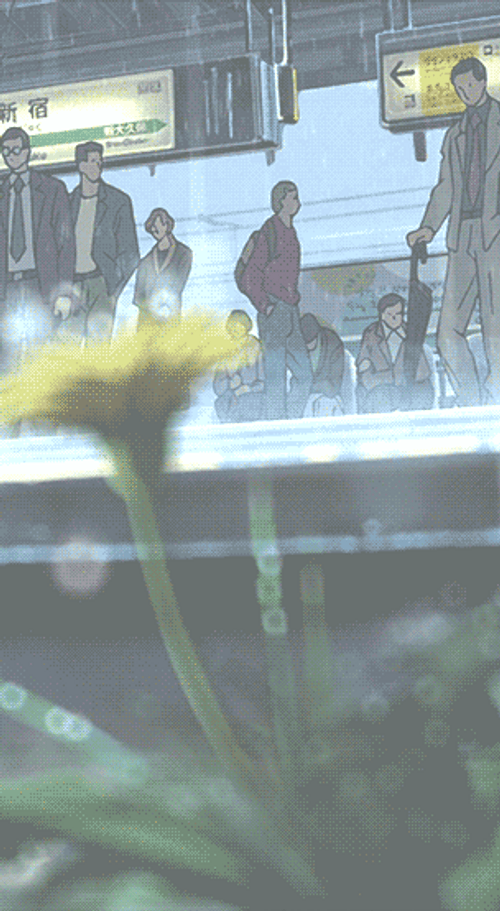 Aesthetic Anime Garden Of Words Train GIF