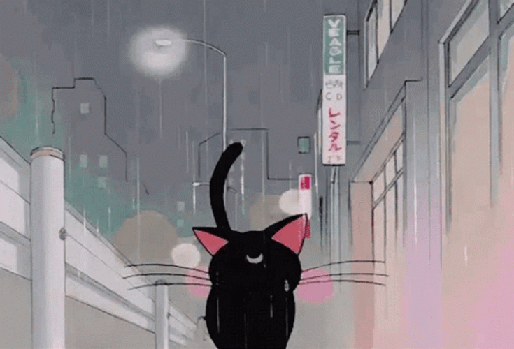 Aesthetic Anime Luna Cat Rain GIF