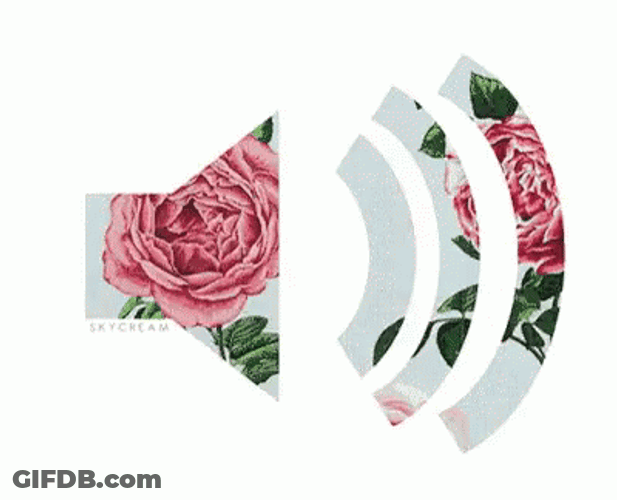Aesthetic Audio Sound Logo GIF