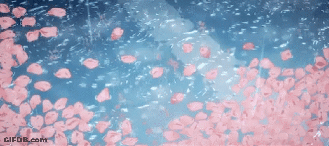 Aesthetic Background Raining Cherry Blossom GIF