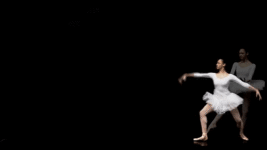 Aesthetic Ballerina Ballet Moves GIF