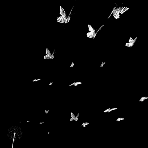 Aesthetic Butterfly GIF