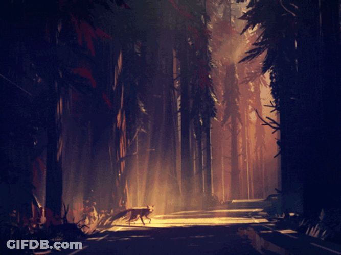 Aesthetic Forest And Fox Animation GIF