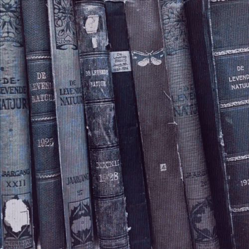 Aesthetic GIF