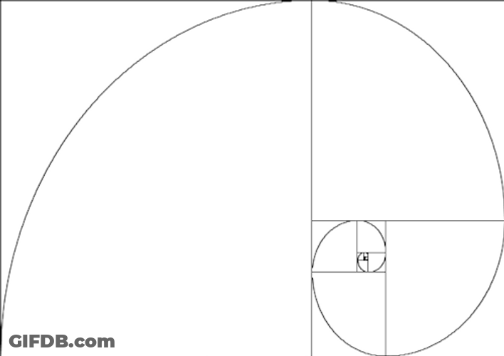 Aesthetic Golden Ratio Spiral GIF