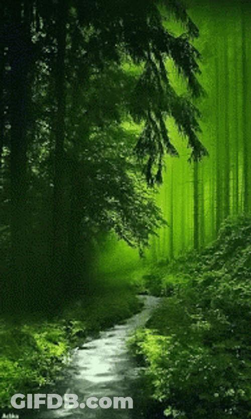 Aesthetic Green Forest GIF