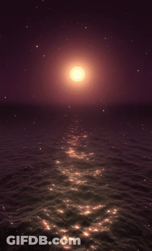 Aesthetic Ocean Sunset GIF