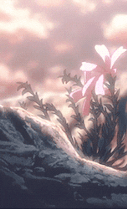 Aesthetic PFP Flowers On Rocks GIF