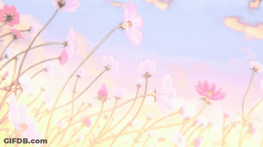 Aesthetic Pink Flowers GIF