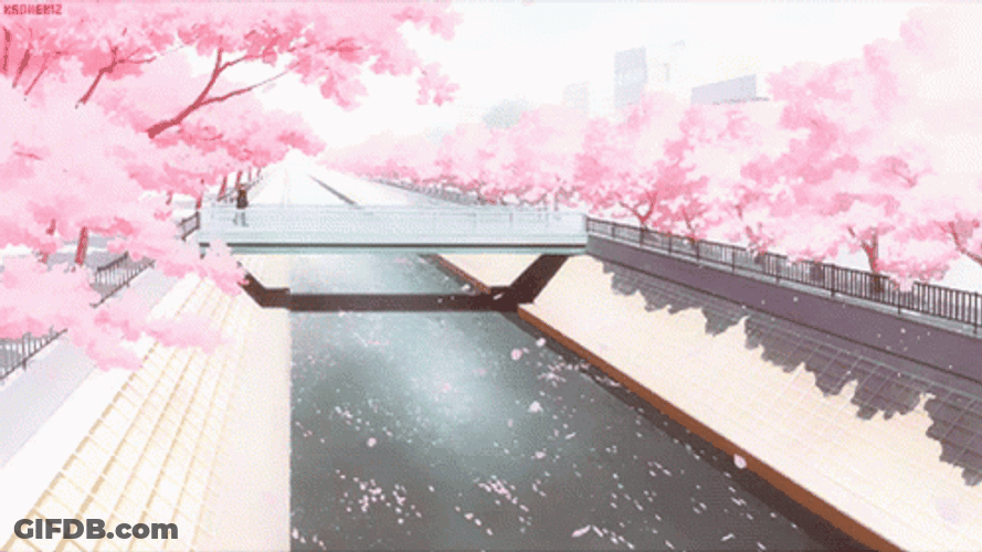 Aesthetic Pink Sakura Gradient GIF