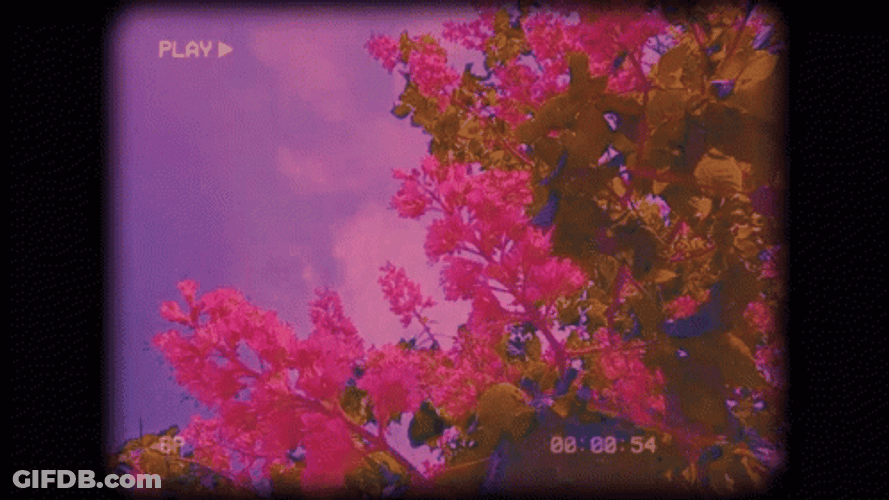 Aesthetic Video Record GIF