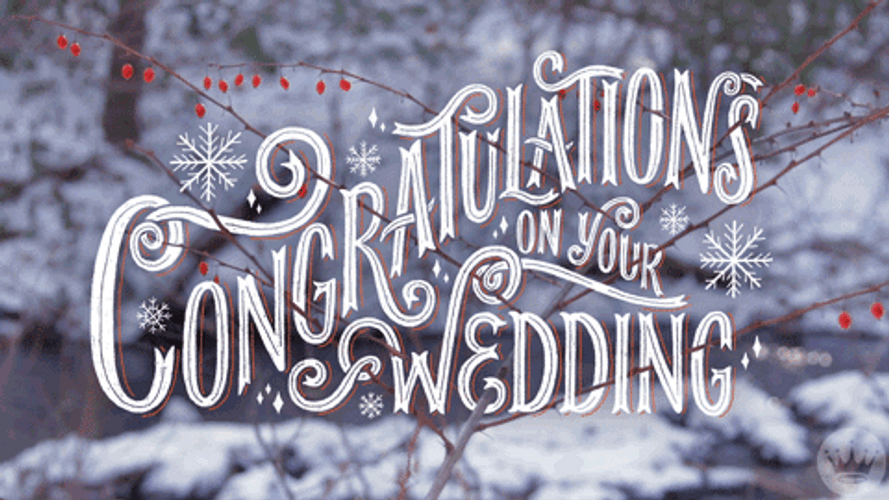 Aesthetic Wedding Congratulatory Greetings GIF