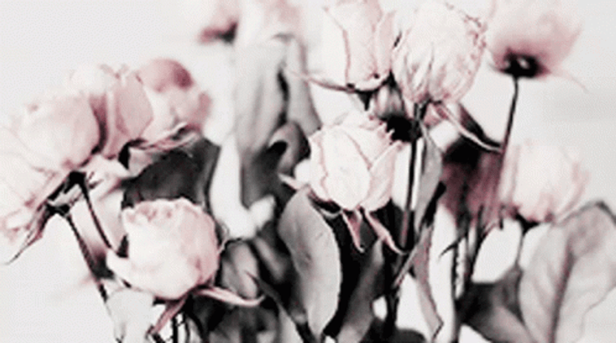 Aesthetic Wedding Flowers GIF