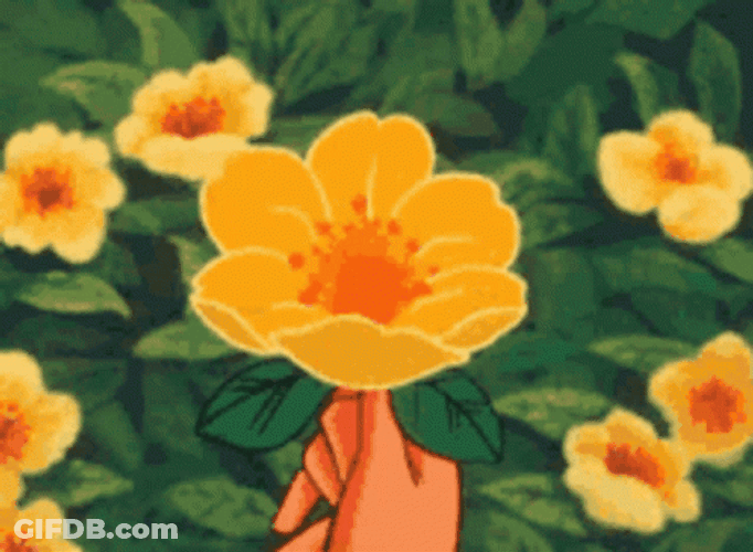 Aesthetic Yellow Flowers GIF