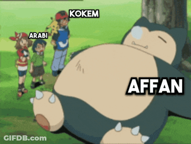 Affan Affan Sleep GIF