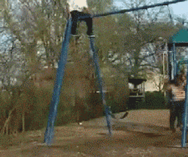African Fly High GIF