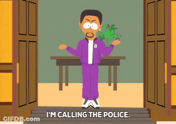 African Police GIF