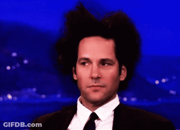 Afro Hair Paul Rudd GIF