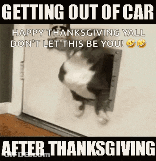 After Thanksgiving After Dinner GIF