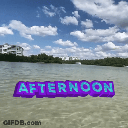 Afternoon Ocean Water GIF