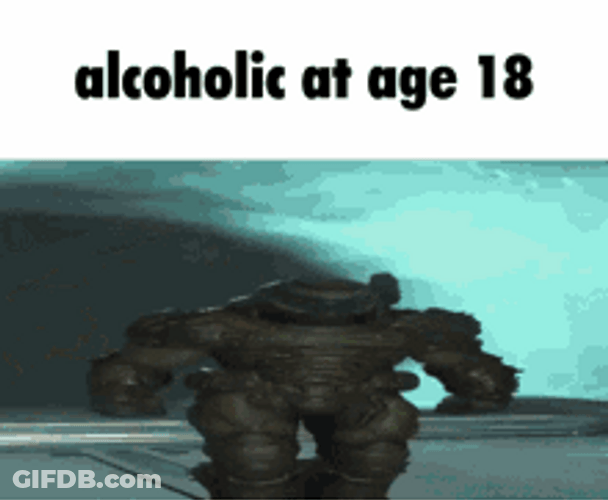Age 18 Alcoholic Video Game Meme GIF