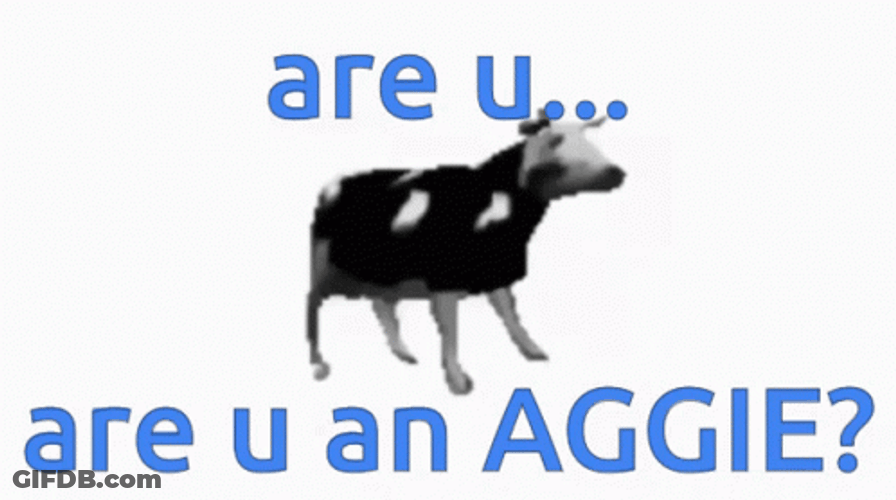 Aggies Cow Dancing GIF