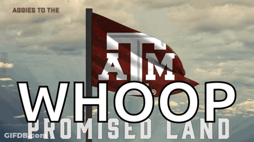 Aggies To The Whoop Promised Land Flag Poster GIF