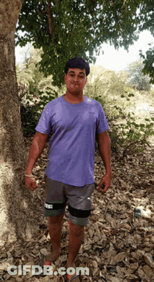 Aggressive Salute Meme GIF