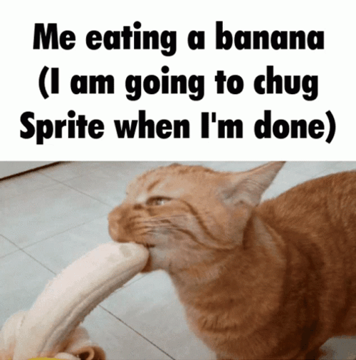 Aggressively Eating Banana Cat Meme GIF