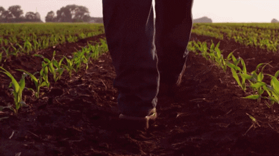 Agriculture Agronomist Farm Boots GIF