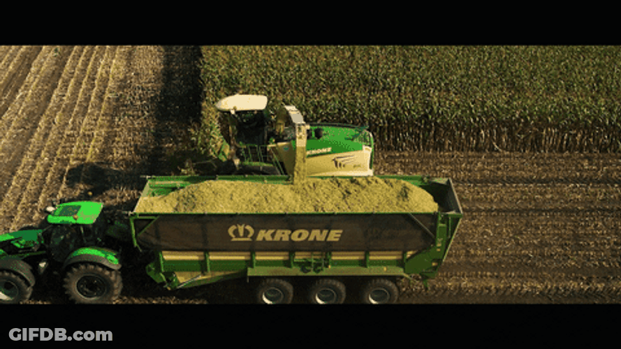 Agriculture Crop Farming Harvest GIF
