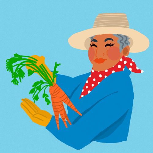 Agriculture Farmer Harvesting Vegetables GIF
