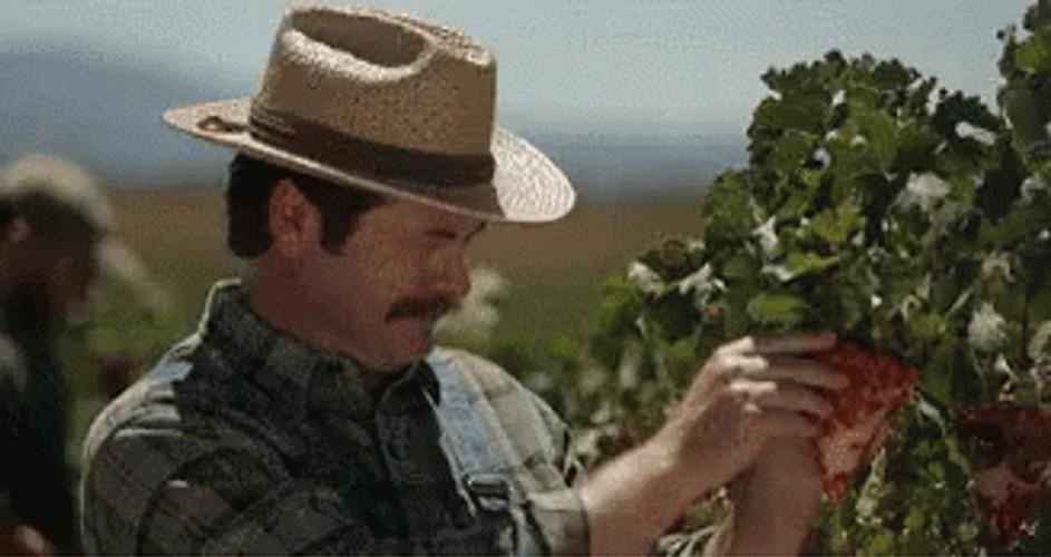 Agriculture Pizza Nick Offerman GIF