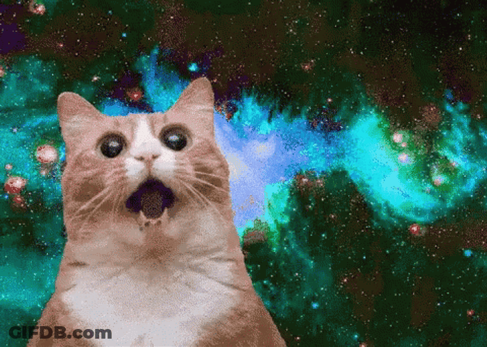 Ah Amazing Universe Cat GIF