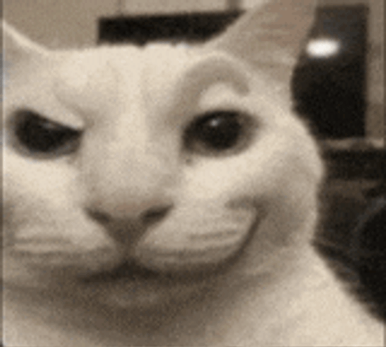 Ahh GIF