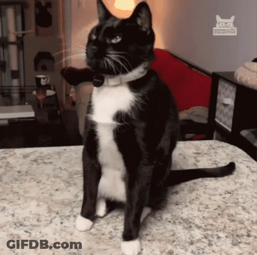 Ahhh GIF