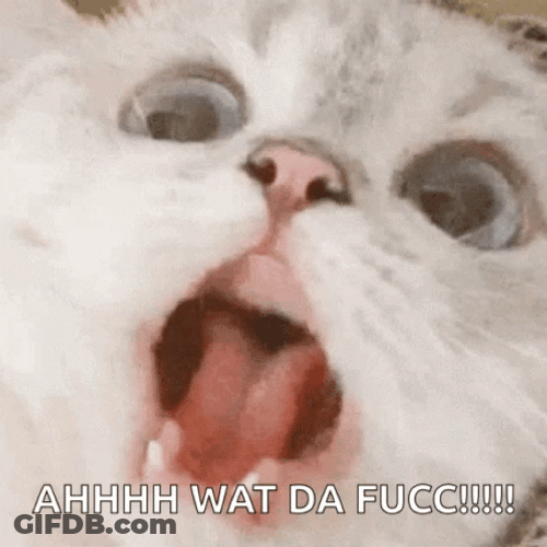 Ahhhh GIF