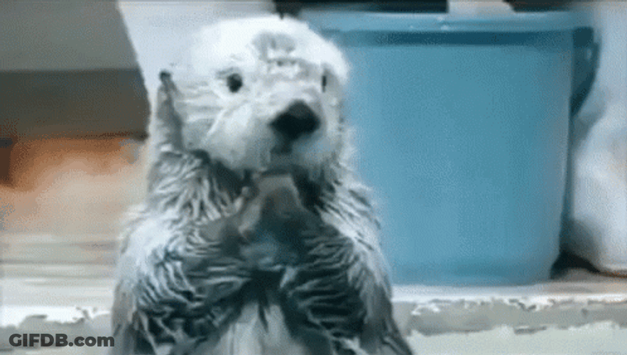 Ahhhh GIF