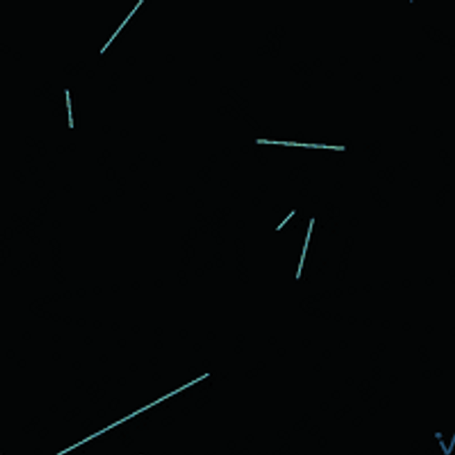 AI Human Recognition Model GIF